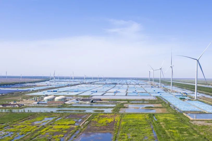 国华投资江苏分公司