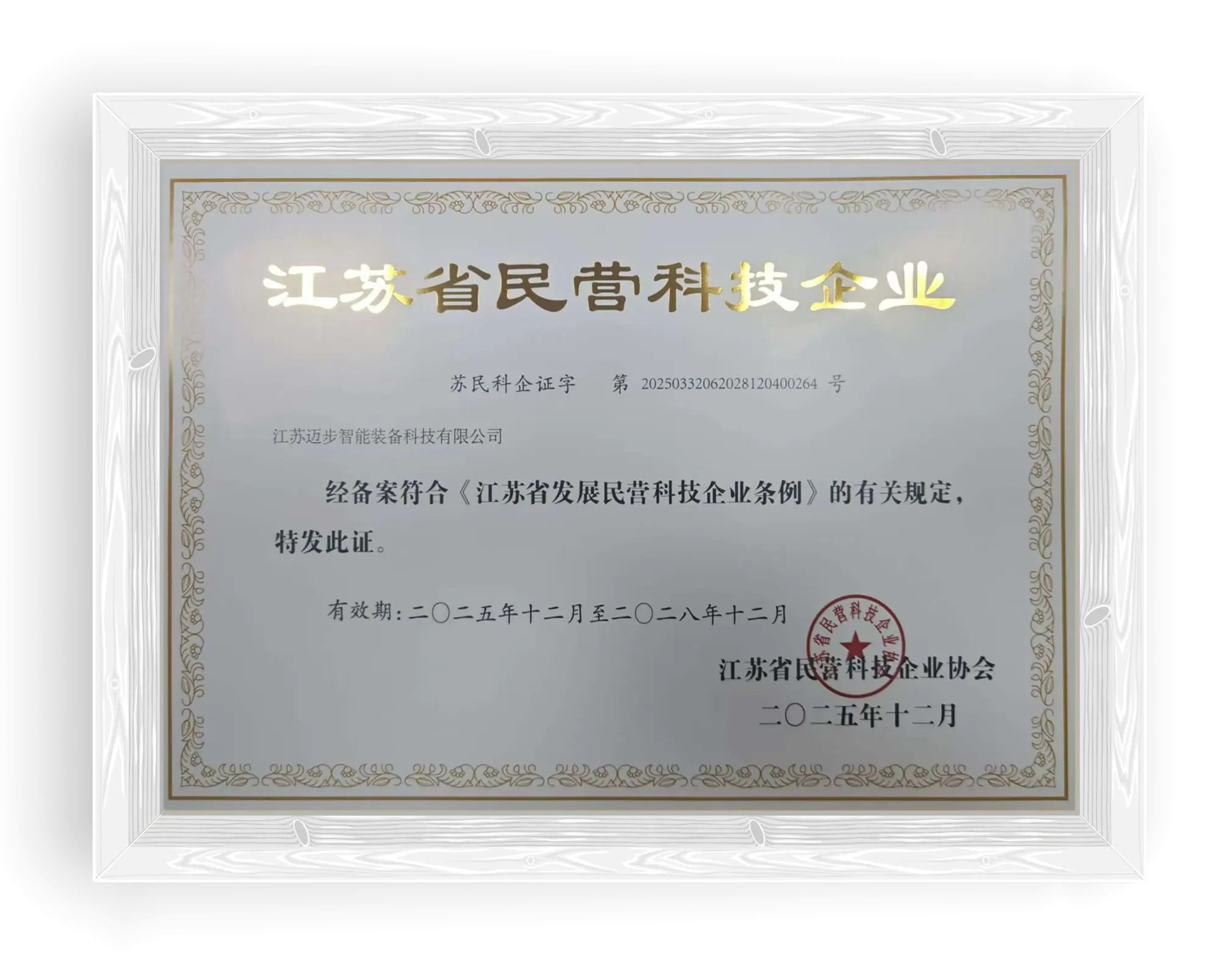 民营科技企业